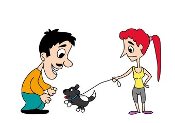 pies, border collie © monikakosz