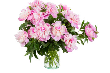 Obraz premium Big bouquet of pink peonies in a transparent vase, it is isolated, a white background