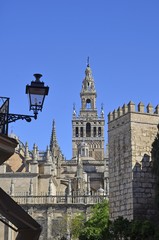 Fototapeta na wymiar Turm der Kathedrale in Sevilla