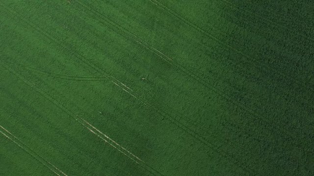  Aerial flight above field of crops in the English countryside