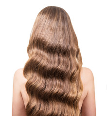 Fototapeta premium Girl with gorgeous wavy hair is back, closeup on white