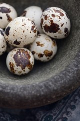 quail eggs in stone mortar