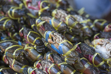 Many crab