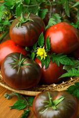 Kumato black and red totatoes