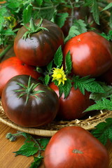 Kumato black and red totatoes