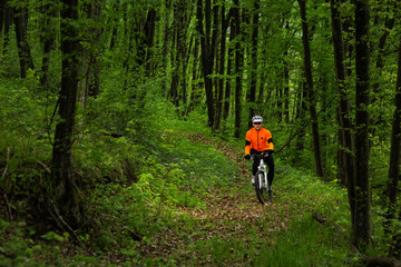 Obraz premium Cyclist Riding the Bike on a Trail in Summer Forest