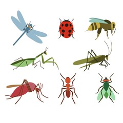 Set of vector insects