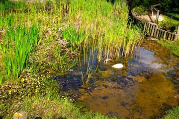 mare de jardin loire