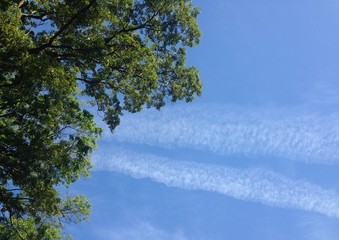 springtime sky with contrail clouds