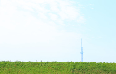 Fototapeta na wymiar 東京の風景　緑の草原と青空