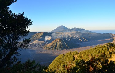 Bromo