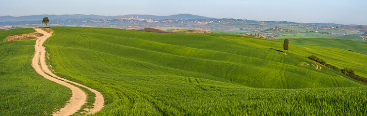 Obraz premium Tuscan countryside