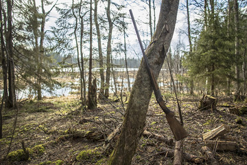 Fototapeta premium old hunting rifle hanging on a tree branch in the forest by the lake