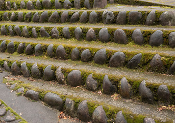 Old stone staircase steps, overgrown with moss and weeds