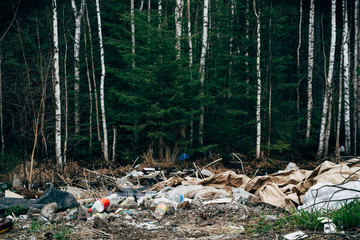 Illegal garbage dump in the forest.