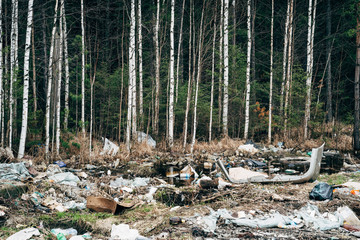 Obraz premium Illegal garbage dump in the forest.