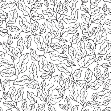Vector Seamless Monochrome Floral Pattern.