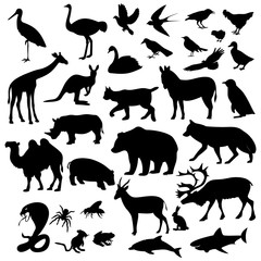 animals are different