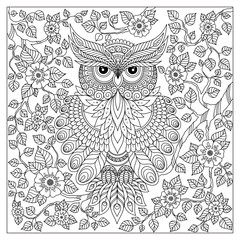 Adult coloring book page. Owl sitting on blossom branch