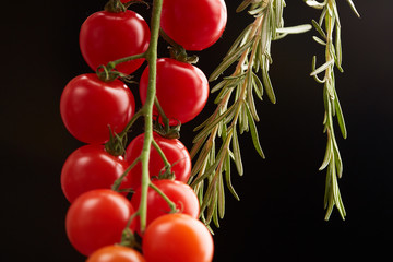 cherry tomatoes on a black background