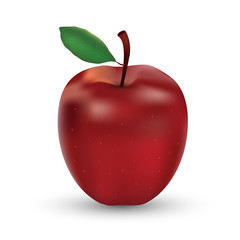 apple fruit isolate with white background