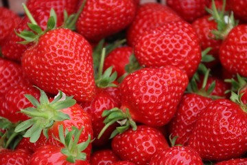 Fraises