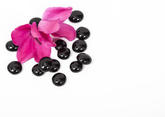Spa still life with pink flowers and black zen stone on white