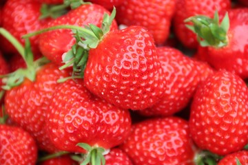 Fraises