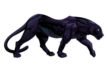 Foto op Aluminium Illustration of a black panther © ddraw