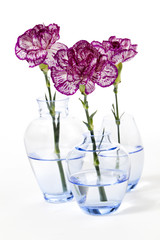 glass flower vase and pink carnations.