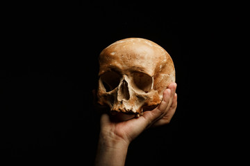 hand holding a skull is isolated on black background