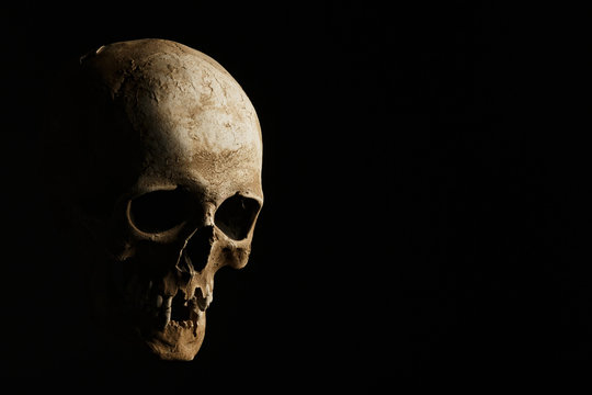 hand holding a skull is isolated on black background