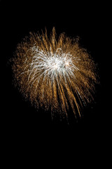 fireworks 42
