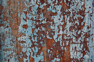 Old cracked paint pattern on wooden background. Peeling paint.