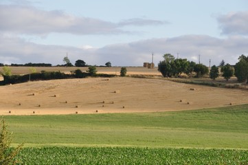 Obraz premium Rural landscape in the Layon