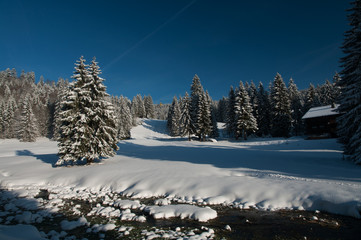 Schneelandschaft beim Belchen (Schwarzwald)