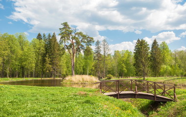 Fototapeta na wymiar Summer landscape with forest lake and pines on the island