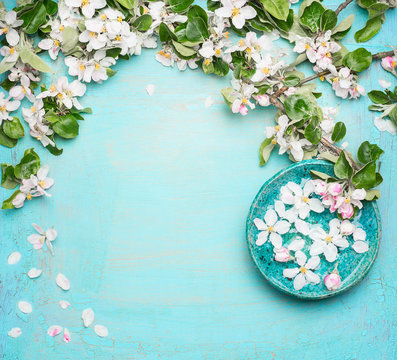 Spa or wellness turquoise background with  blossom and water bowl with white flowers, top view. Spring blossom background
