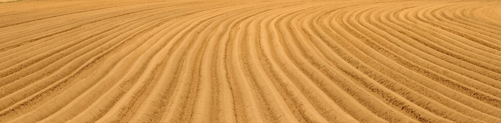 Plowed field
