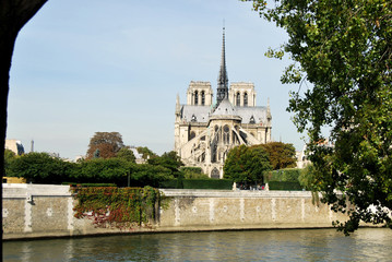 Fototapeta na wymiar Notre Dame de Paris and the Seine