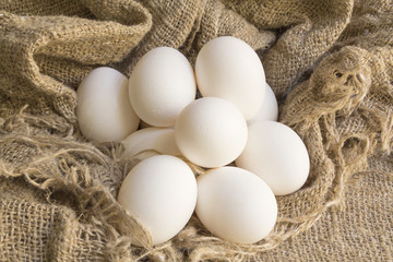 close-up white eggs on a Brown canvas