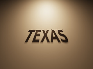 3D Rendering of a Shadow Text that reads Texas