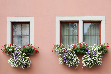 Fototapeta na wymiar Beautiful flower baskets beneath windows in Rothenburg