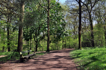 Fototapeta premium Springtime trees in Herefordshire, England.
