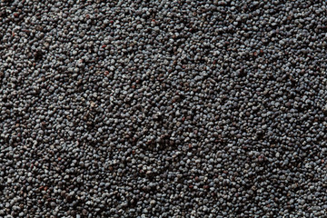 poppy seed background