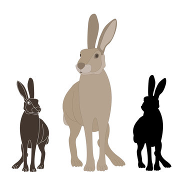 gray rabbit realistic set of black silhouette vector illustration