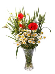 Beautiful bright bouquet of wild flowers, daisy, poppy and green wheat in  glass vase isolated on white background