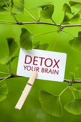  Detox your Brain