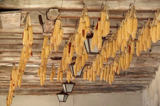 Medieval town of Perouges