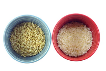 Rice